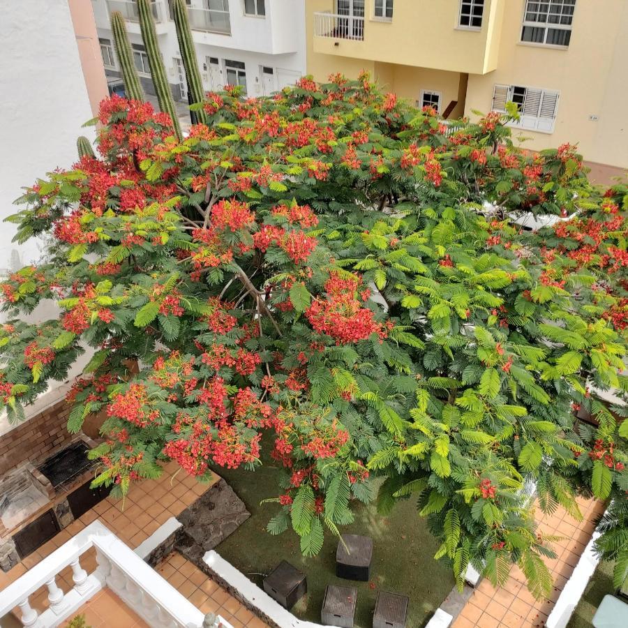 Corralejo Garden&Relax Hostel Exterior photo